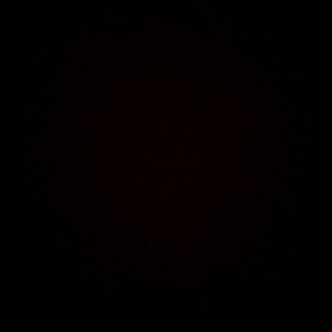 Meet your Posher, Erick